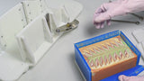 "Caterpillar" soap cutting station