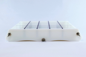 Soap mold with dividers